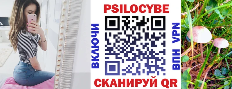 Галлюциногенные грибы MAGIC MUSHROOMS Александровск